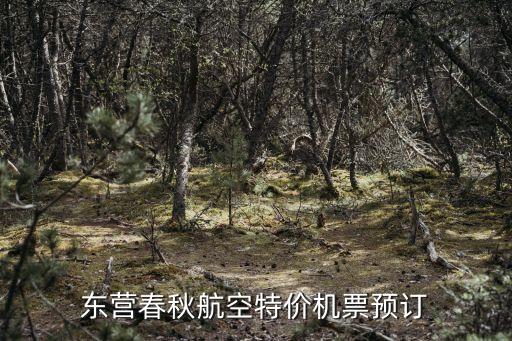東營春秋航空特價機票預訂