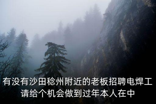 有沒有沙田稔州附近的老板招聘電焊工請給個機會做到過年本人在中