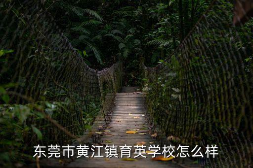 東莞市黃江鎮育英學校怎么樣