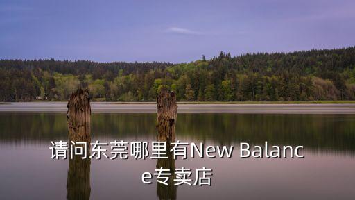 請問東莞哪里有New Balance專賣店