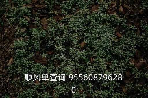 東莞順風車訂單，順風單查詢 955608796280