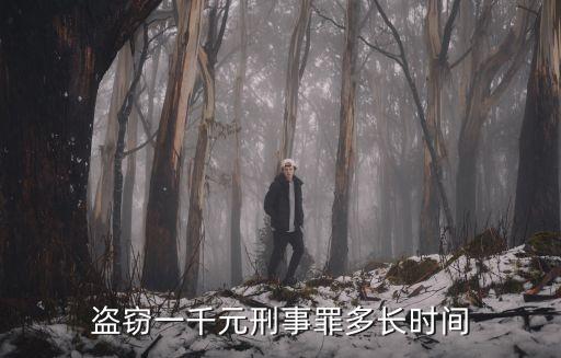 盜竊一千元刑事罪多長時間
