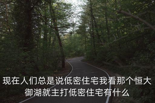 現(xiàn)在人們總是說低密住宅我看那個(gè)恒大御湖就主打低密住宅有什么
