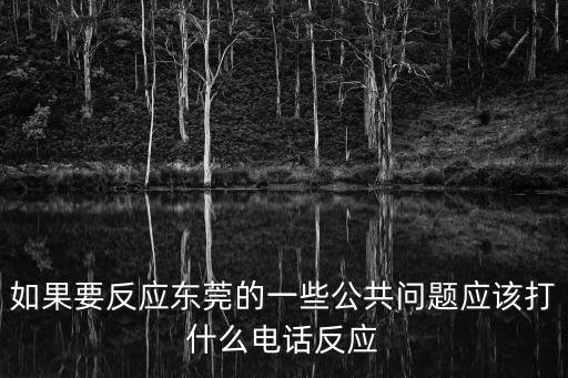 如果要反應東莞的一些公共問題應該打什么電話反應