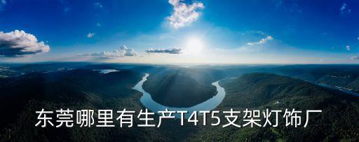 東莞哪里有生產T4T5支架燈飾廠