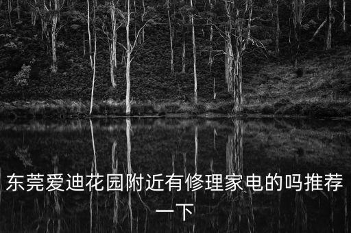 東莞愛迪花園附近有修理家電的嗎推薦一下