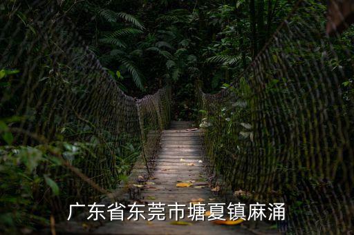 廣東省東莞市塘夏鎮麻涌