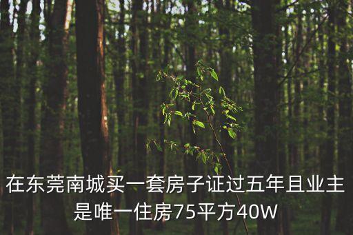 在東莞南城買一套房子證過五年且業(yè)主是唯一住房75平方40W