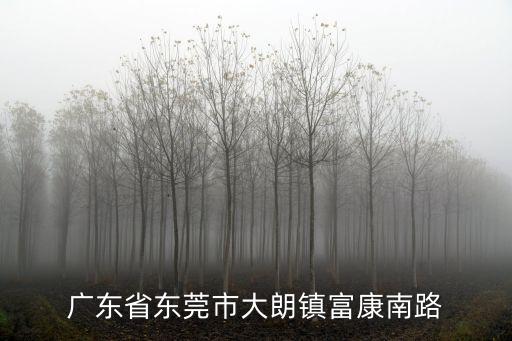 廣東省東莞市大朗鎮富康南路
