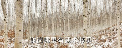 謝崗哪里有武術(shù)書買