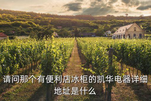 請問那個有便利店冰柜的凱華電器詳細地址是什么