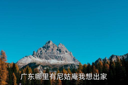 廣東東莞哪有大廟尼姑庵，東莞或附近哪里有尼姑奄呀