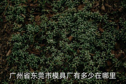廣州省東莞市模具廠有多少在哪里