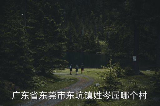 澳門東莞東坑同鄉會，東莞市東坑鎮角社新村讀小學在哪里