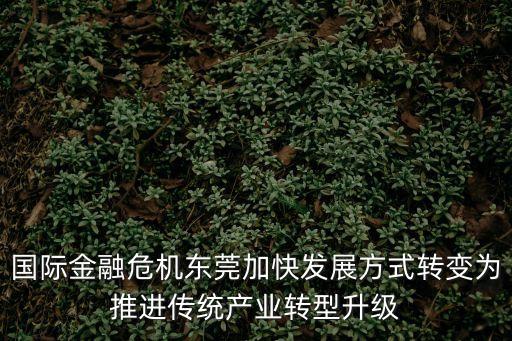 國際金融危機東莞加快發展方式轉變為推進傳統產業轉型升級
