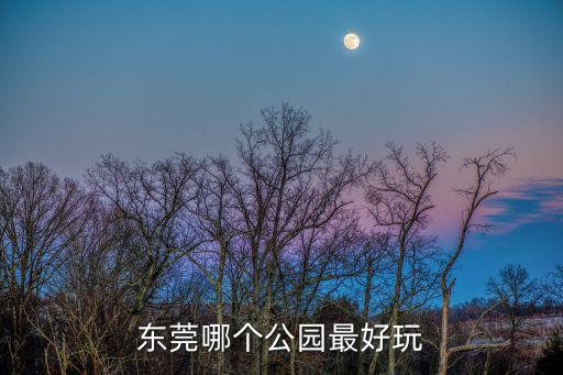 東莞哪個公園最好玩