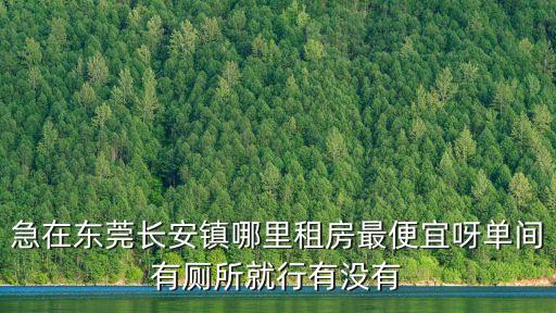 東莞月租200元的房子，急在東莞長安鎮哪里租房最便宜呀單間有廁所就行有沒有