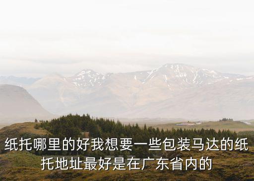 東莞鵬達印刷制品，東城溫塘東路288號是甚么廠