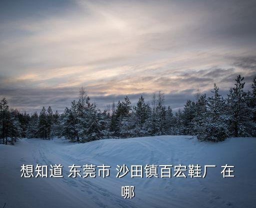 東莞沙田百宏是什么公司，東莞沙田百宏辭職辭不了嗎