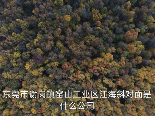 東莞市謝崗鎮(zhèn)窯山工業(yè)區(qū)江海斜對面是什么公司