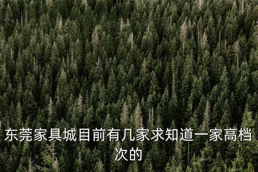 東莞家具城目前有幾家求知道一家高檔次的