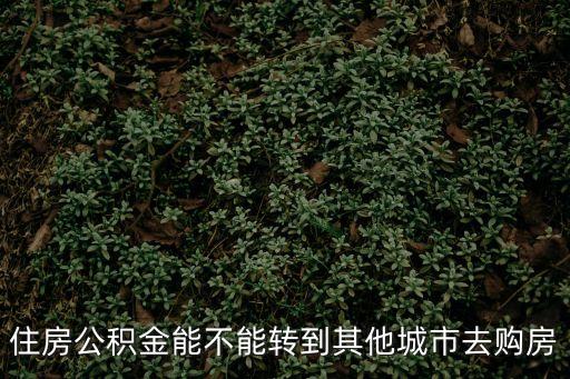在東莞繳的公積金能回老家買房嗎，在東莞交的住房公積金可以回老家貸款買房嗎