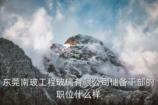 東莞南玻工程玻璃有限公司儲備干部的職位什么樣