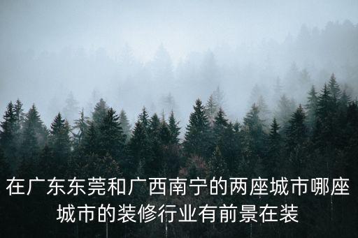 在廣東東莞和廣西南寧的兩座城市哪座城市的裝修行業有前景在裝