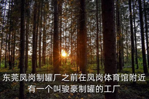 東莞鳳崗制罐廠之前在鳳崗體育館附近有一個叫駿豪制罐的工廠