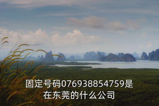 固定號碼076938854759是在東莞的什么公司
