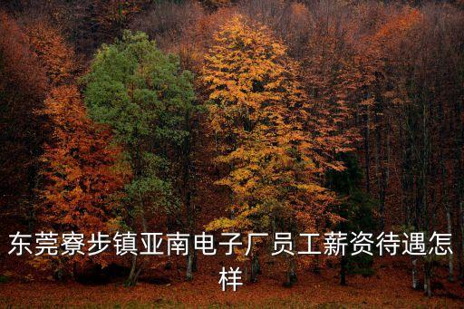 東莞寮步鎮(zhèn)亞南電子廠員工薪資待遇怎樣