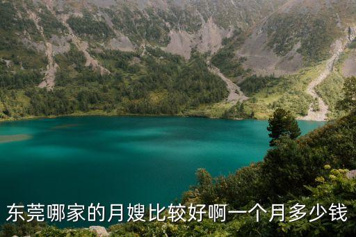 東莞哪家的月嫂比較好啊一個月多少錢