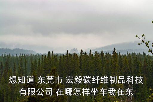 想知道 東莞市 宏毅碳纖維制品科技有限公司 在哪怎樣坐車我在東