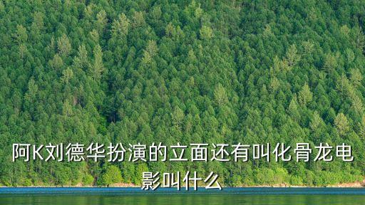 阿K劉德華扮演的立面還有叫化骨龍電影叫什么