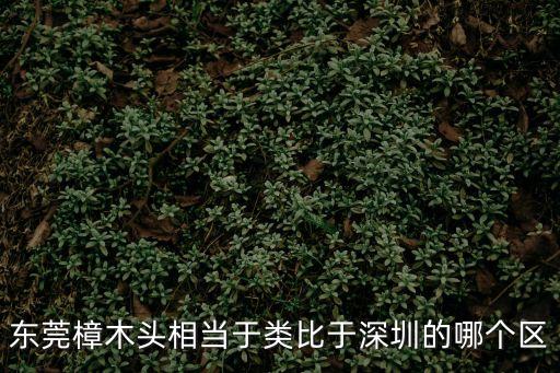 東莞樟木頭相當于類比于深圳的哪個區(qū)