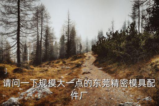 東莞市智捷精密模具配件，請問一下規模大一點的東莞精密模具配件廠