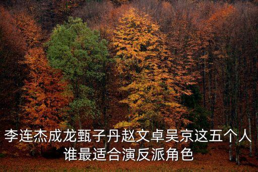 李連杰成龍甄子丹趙文卓吳京這五個人誰最適合演反派角色