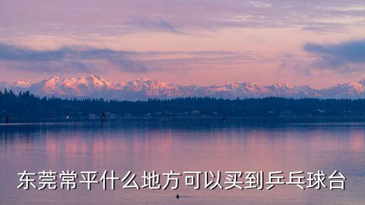 東莞常平什么地方可以買到乒乓球臺