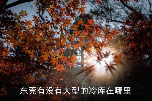 東莞大型保鮮冷庫，東莞大型冷庫哪里有定做