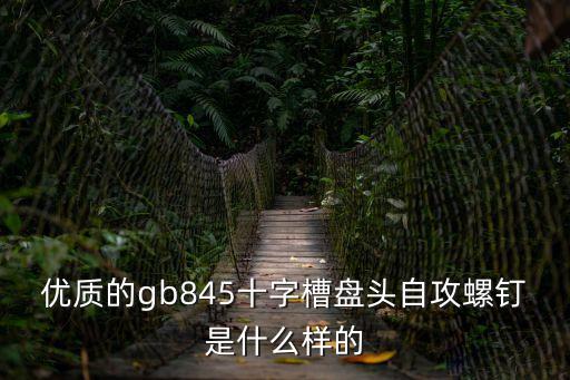 東莞十字槽盤頭螺釘，M2M12一字槽十字槽內外六角盤頭沉頭尖頭平頭等形狀