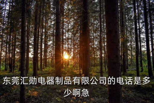 東莞襯氟泵，氟塑料襯里磁力泵哪家廠家的好