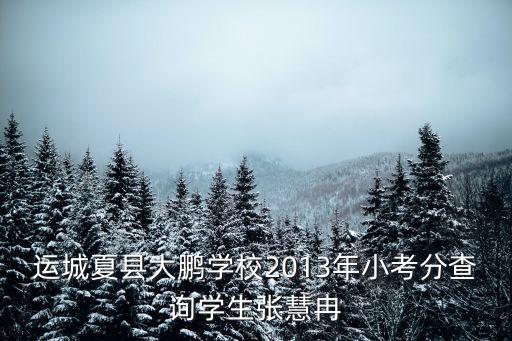 運城夏縣大鵬學(xué)校2013年小考分查詢學(xué)生張慧冉