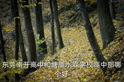 東莞水霖學校和英才哪個好，東莞塘廈水霖學校怎樣