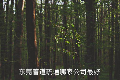 東莞市潔鑫清潔服務公司，找做凈化車間凈化工程的公司在東莞的
