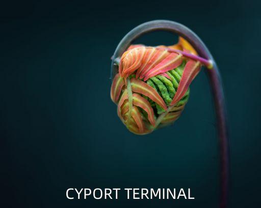 CYPORT TERMINAL