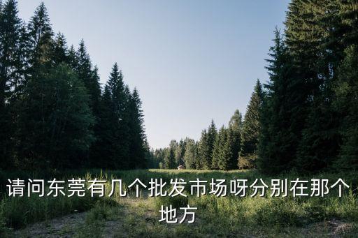 請問東莞有幾個批發市場呀分別在那個地方