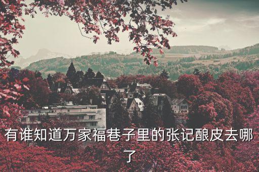 有誰知道萬家福巷子里的張記釀皮去哪了