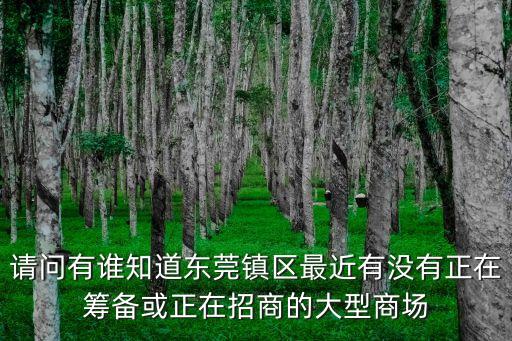 請問有誰知道東莞鎮區最近有沒有正在籌備或正在招商的大型商場