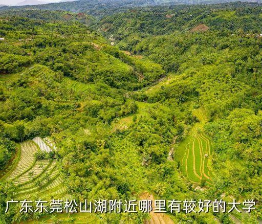 廣東東莞松山湖附近哪里有較好的大學