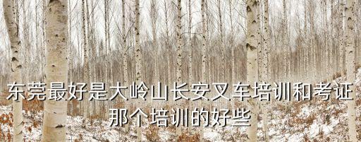 東莞最好是大嶺山長安叉車培訓和考證那個培訓的好些